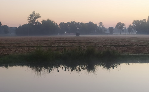 পঞ্চগড়ে তাপমাত্রা ১৩ ডিগ্রিতে 