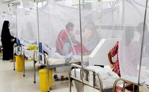 ডেঙ্গুতে ২৪ ঘণ্টায় মৃত্যু নেই 