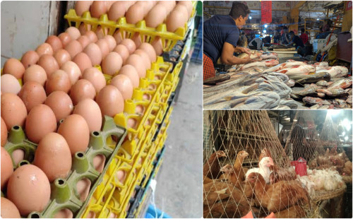 কমেছে ডিমের দাম, স্থিতিশীল মাছ-মুরগির বাজার 