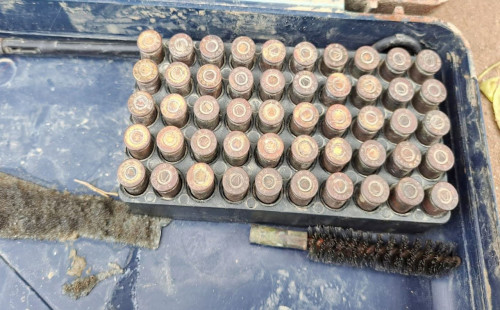 নদীতে মাছ ধরতে গিয়ে ৫০ রাউন্ড গুলি পেল দুই ভাই 